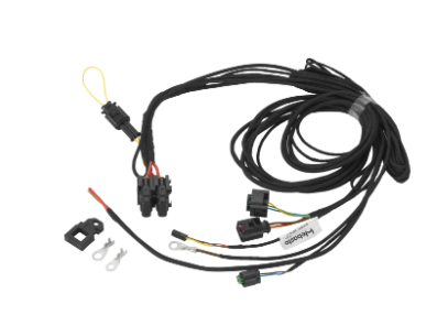 Webasto Wiring harness for Thermo EVO heaters. 12 Volt